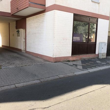 Monteurwohnung Im Zentrum Worms Eksteriør bilde